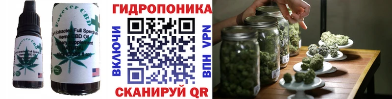 Cannafood конопля  где купить   Люберцы 
