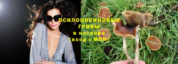 mdpv Алексин