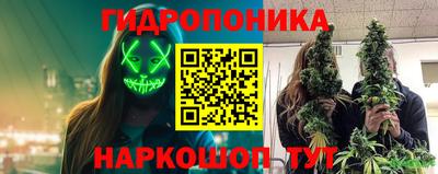 метадон Гусь-Хрустальный