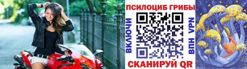 магазин    Люберцы  Псилоцибиновые грибы Magic Shrooms 