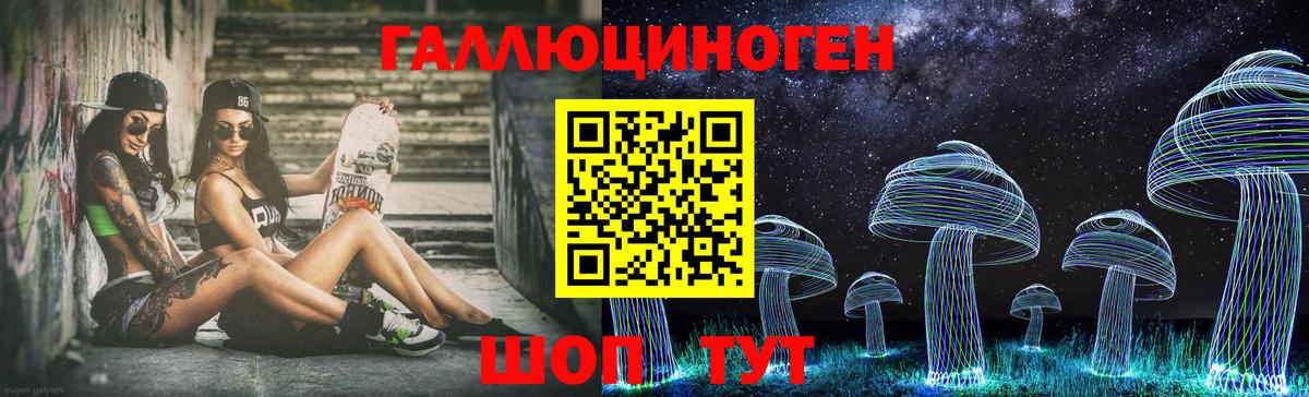 Псилоцибиновые грибы Cubensis  Вход с VPN  Люберцы 